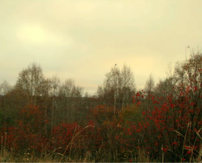 картинка галереи 4